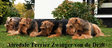 967039_182927391896694_1435914933_o-korr