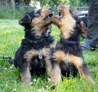 992860_150515235137910_1029598004_n