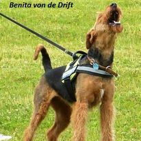 11750607_396099143912850_1966894144068785779_n