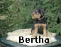 a_bertha03