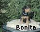 a_bonita03