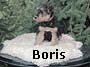 a_boris03