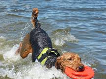 h3OrckOxmPlcmvxkFFAvexAON0OeFATLP2X0Ujgbvs4,