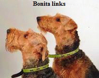 links-benotia