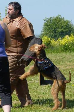 10419527_976699565696846_8726074724604310975_n-korr