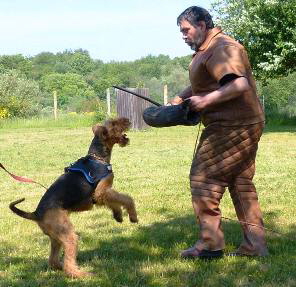 10989171_976699309030205_5575508775484409997_n-korr