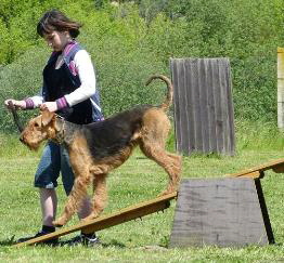 11053408_972632882770181_7446053070980625048_n