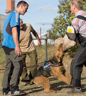 14495346_571311603077236_6051306921823976453_n