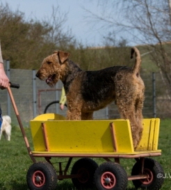 16576020193_117658131f_o-korr