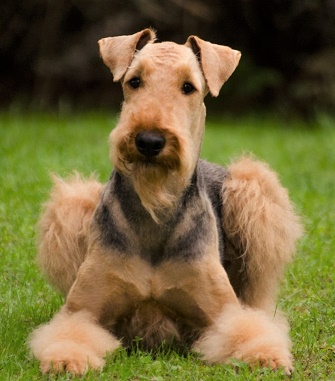 kleinDSC_0468[1][6361] pc